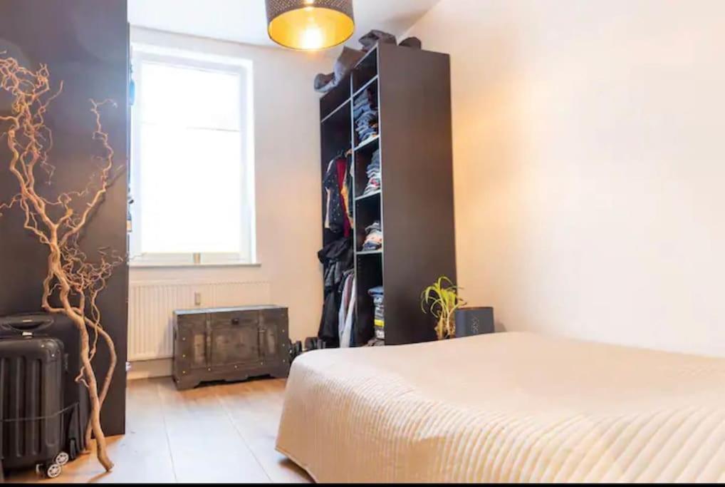 Design Apartment Im Zentrum Von Nienburg! Nienburg  Kültér fotó